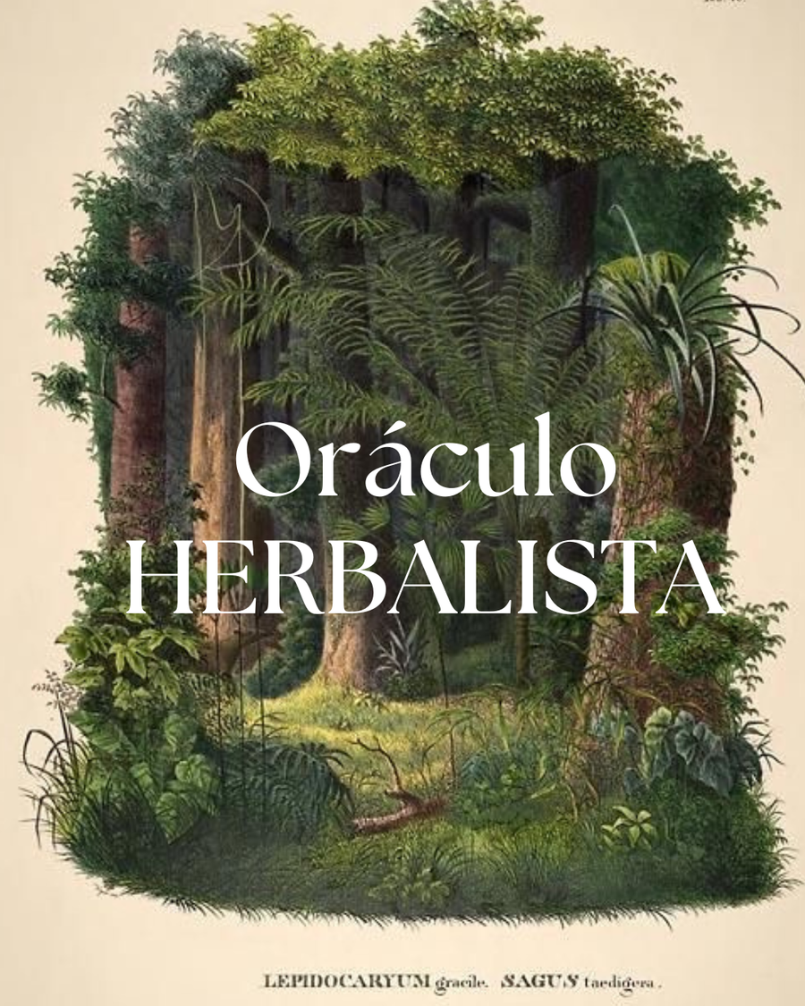 Oráculo Herbalista