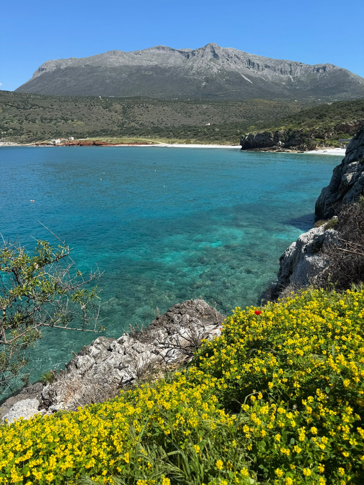 Una bahía de agua turquesa entre montañas, con flores amarillas en primer plano
