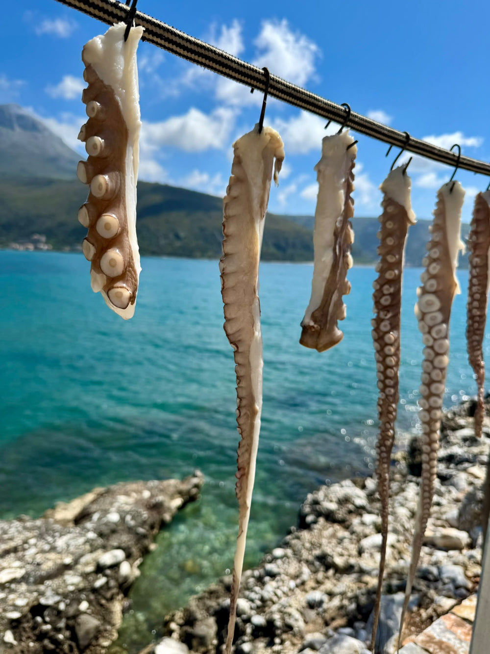 Pulpos secándose al sol en una cuerda, frente al mar turquesa