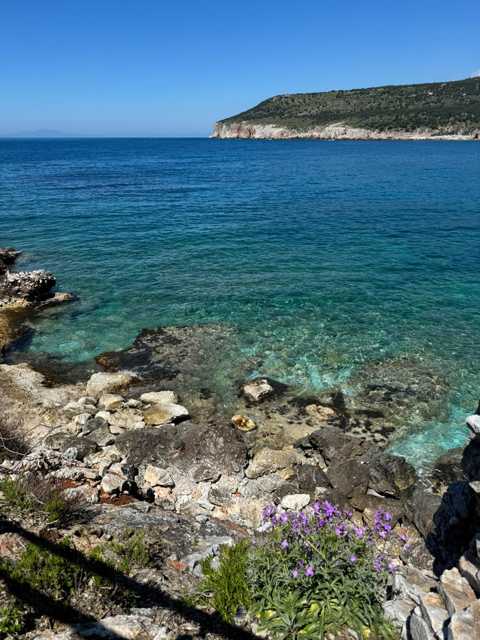 Rocas y flores moradas sobre una caleta de agua transparente